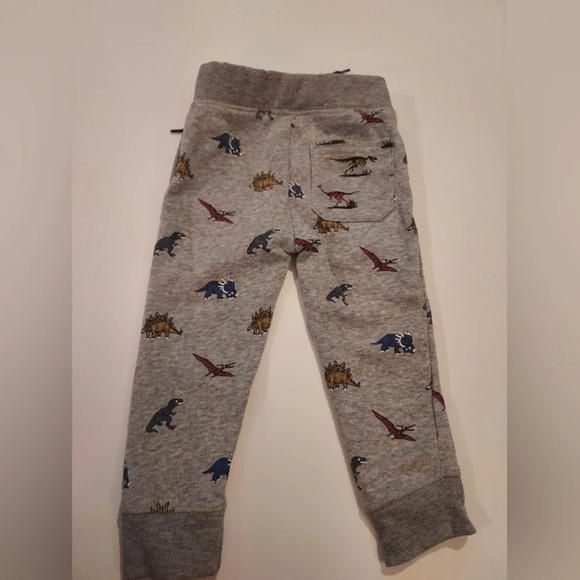 Free Plant Baby Boy 2 Piece Dinosaur Theme Hoodie and Jogger Set in Size 24M - Picture 10 of 10